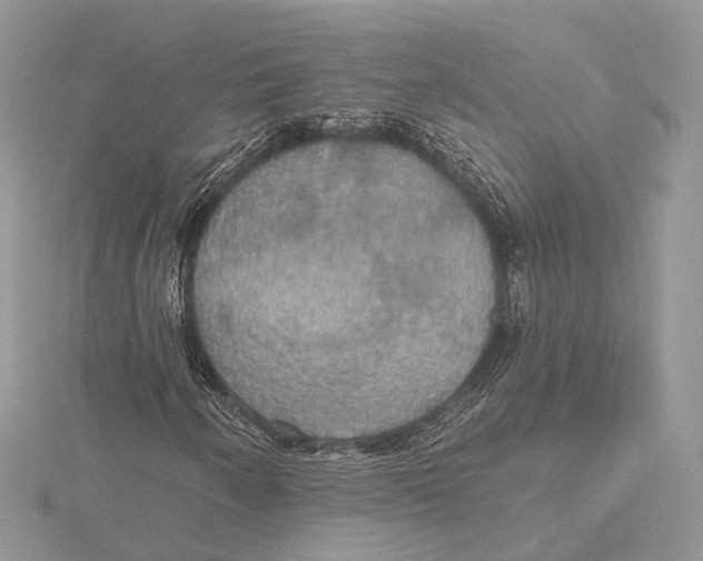 X0000115451250200912020958