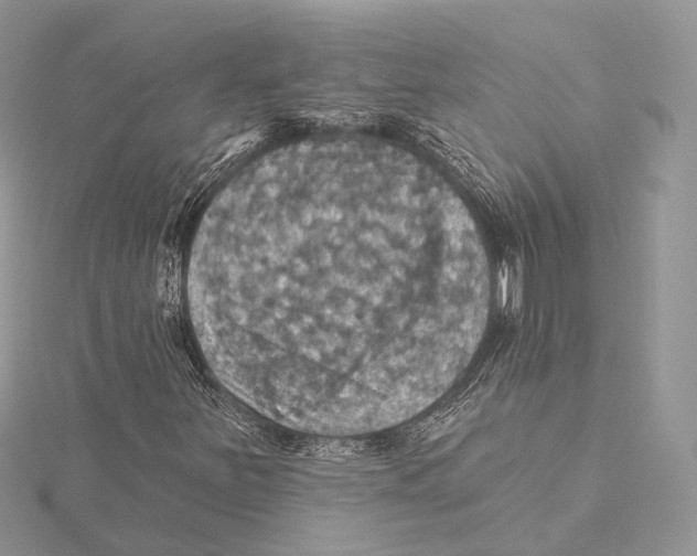 X0000115451251200912020958