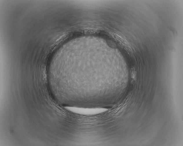 X0000115451252200912020958