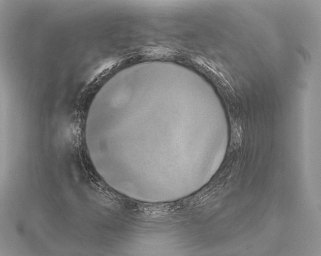 X0000115451254200912020958