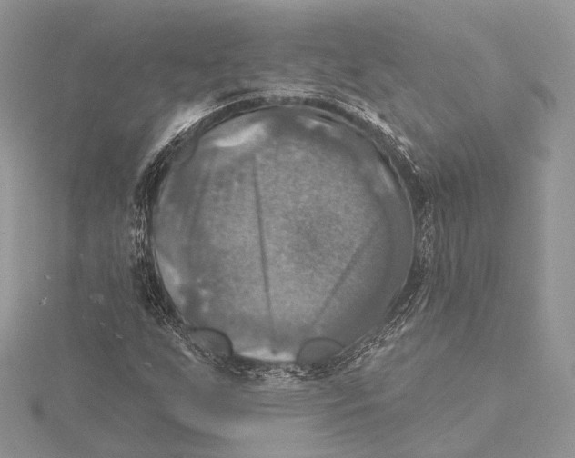 X0000115451255200912020958