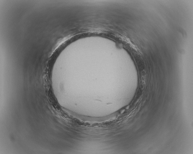 X0000115451256200912020958