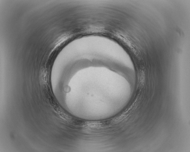 X0000115451258200912020958