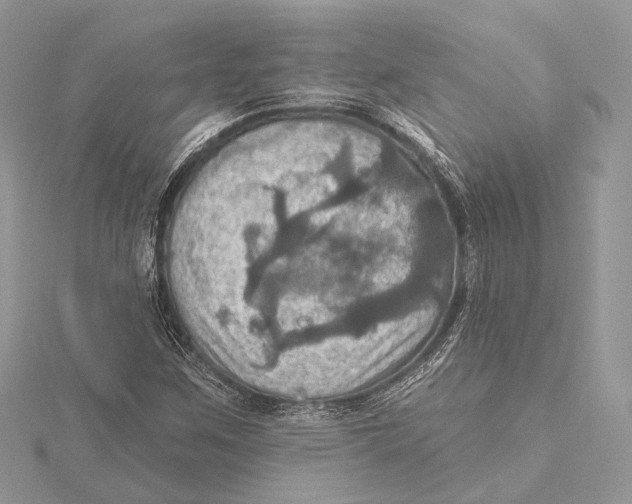 X0000115451259200912020958