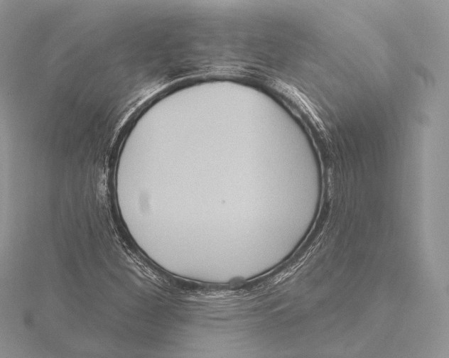 X0000115451260200912020958