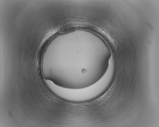 X0000115451261200912020958