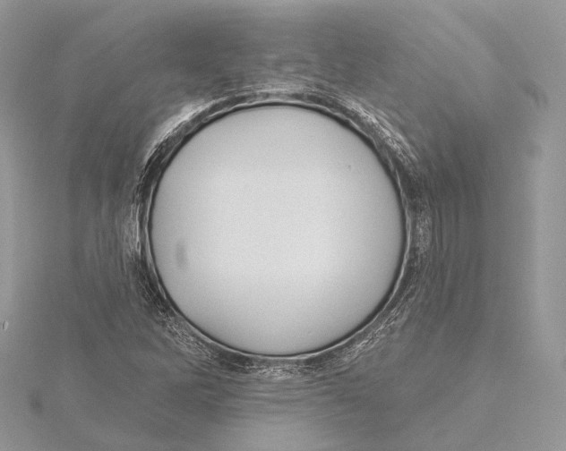 X0000115451262200912020958