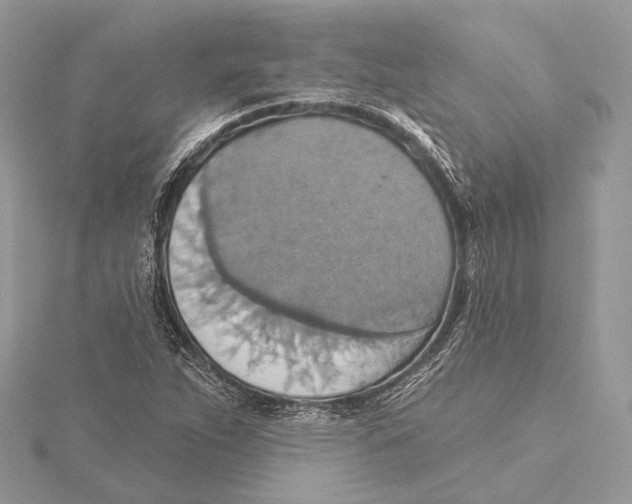 X0000115451263200912020958