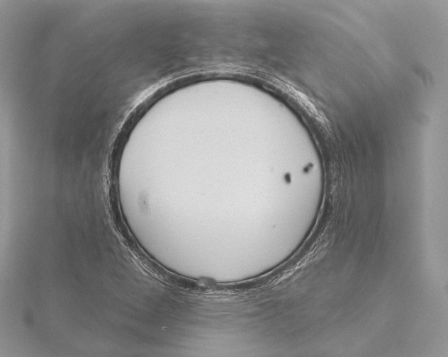 X0000115451264200912020958