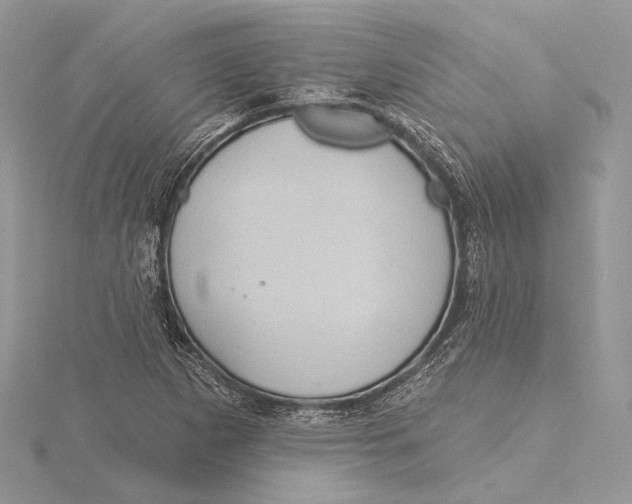 X0000115451265200912020958