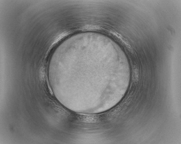 X0000115451266200912020958