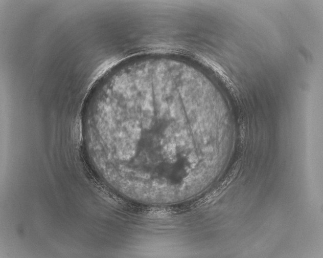 X0000115451267200912020958