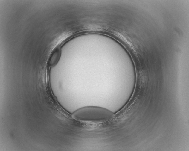 X0000115451269200912020958