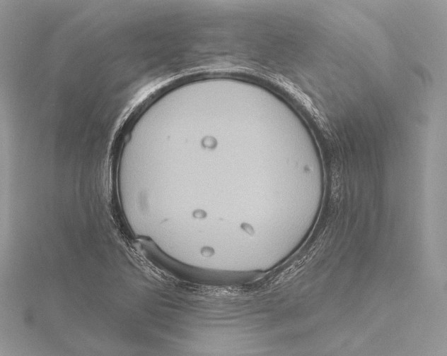 X0000115451270200912020958