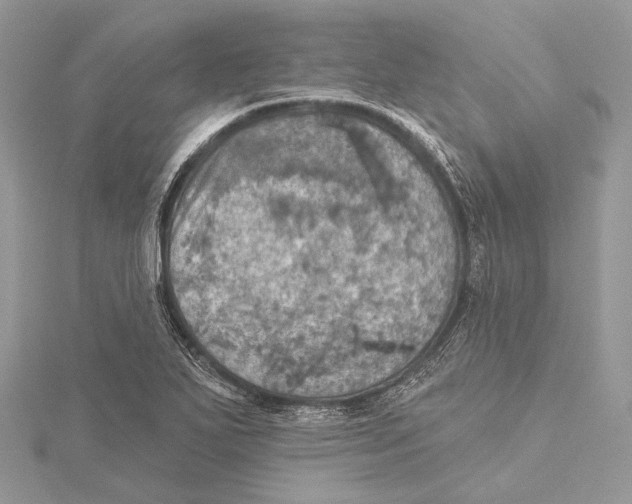 X0000115451271200912020958