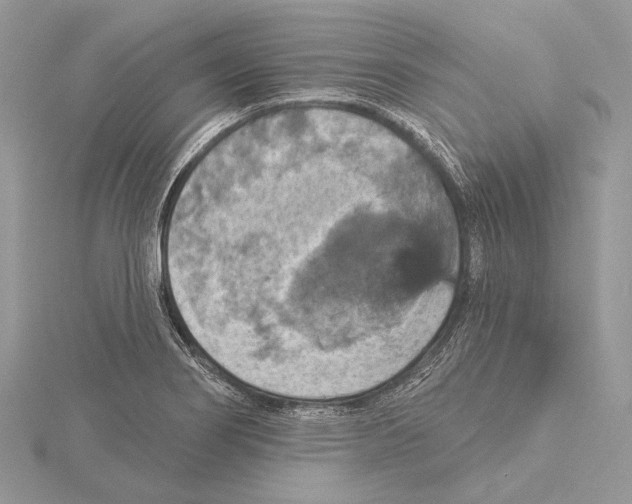 X0000115451274200912020958