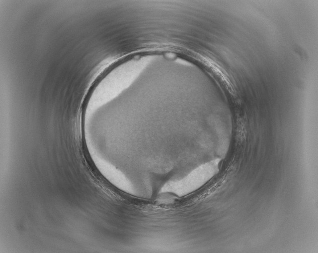 X0000115451275200912020958