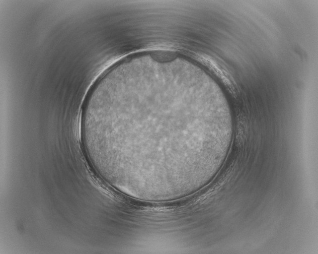 X0000115451276200912020958