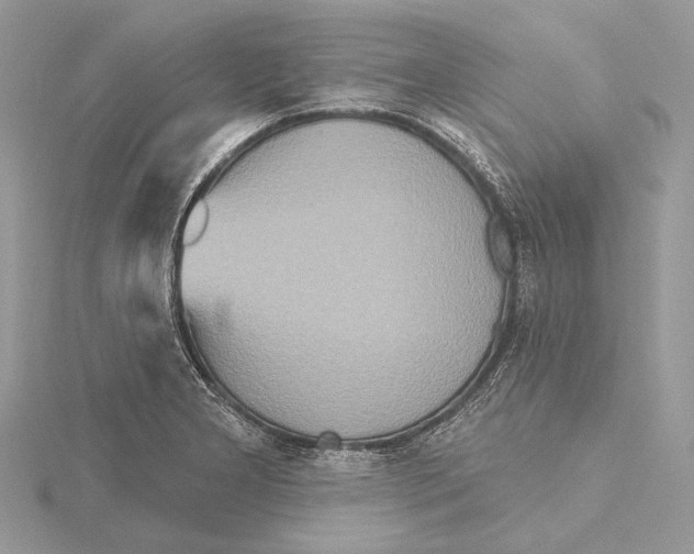 X0000115451277200912020958