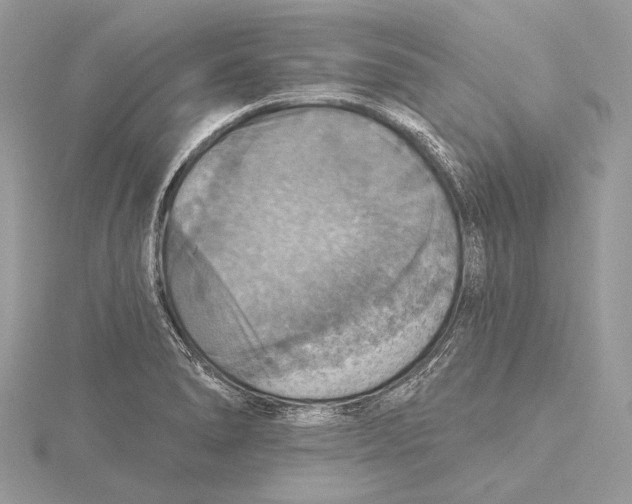 X0000115451278200912020958