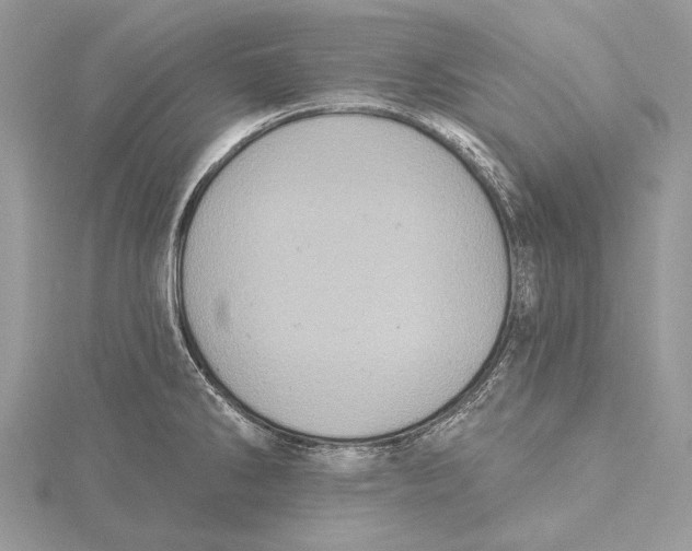 X0000115451286200912020958