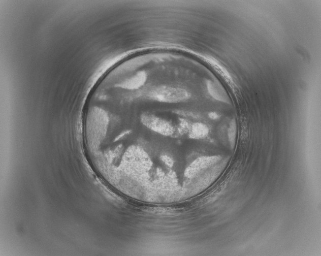 X0000115451287200912020958