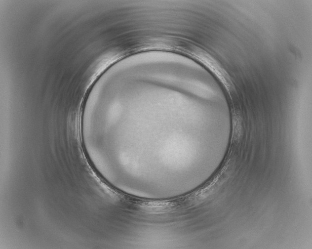 X0000115451290200912020958