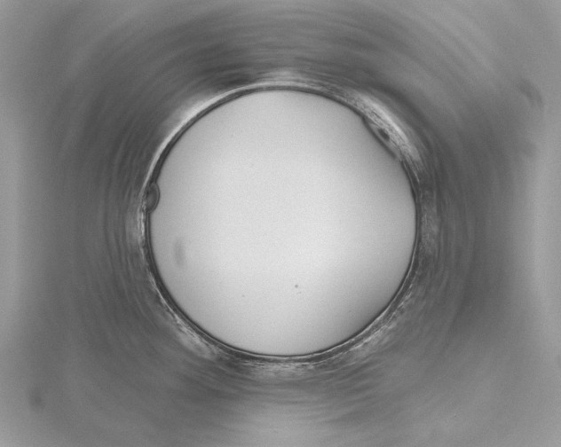 X0000115451292200912020958