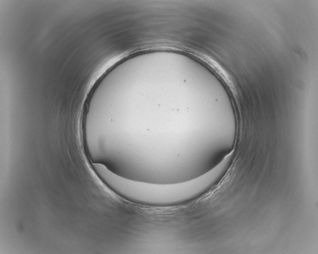 X0000115451293200912020958