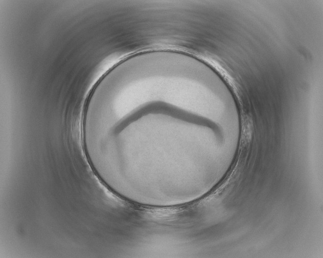 X0000115451294200912020958