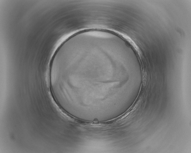 X0000115451295200912020958