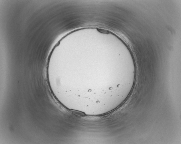 X0000115451296200912020958