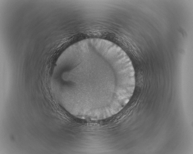 X0000115451297200912020957