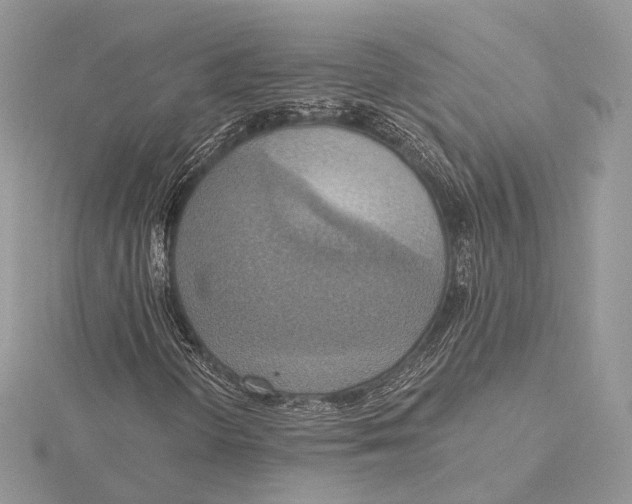 X0000115451298200912020957