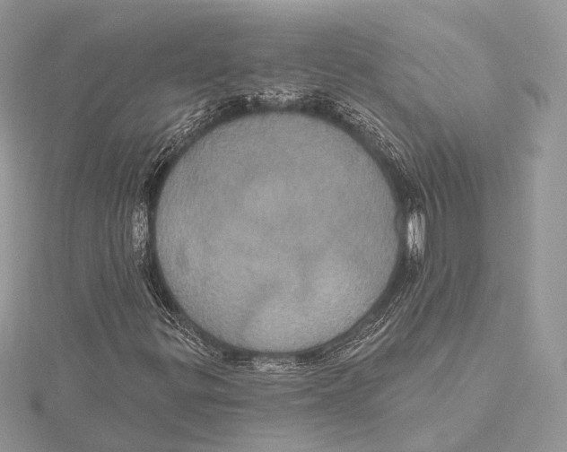 X0000115451299200912020957