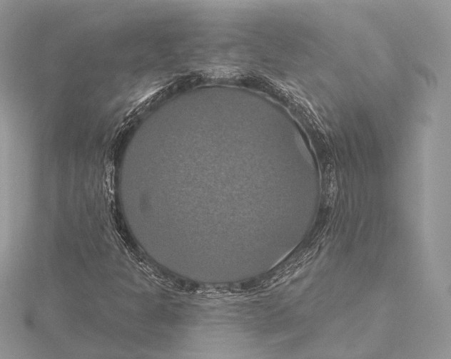 X0000115451301200912020957