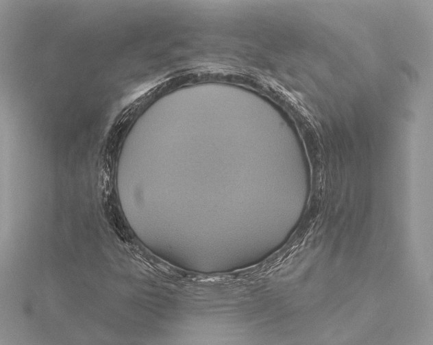 X0000115451303200912020957