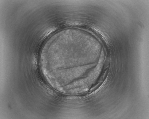 X0000115451305200912020957