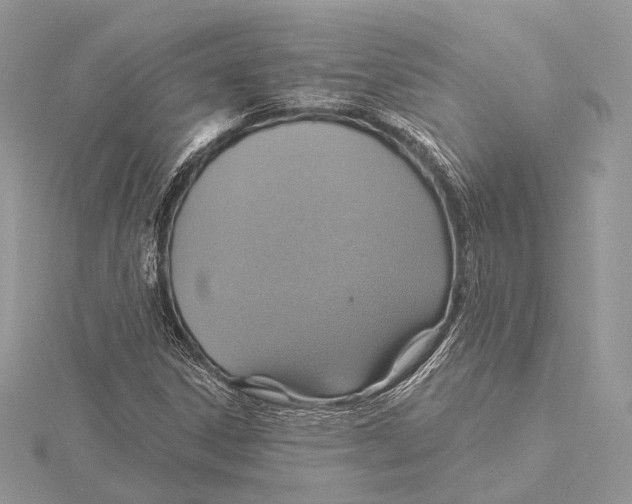 X0000115451306200912020957