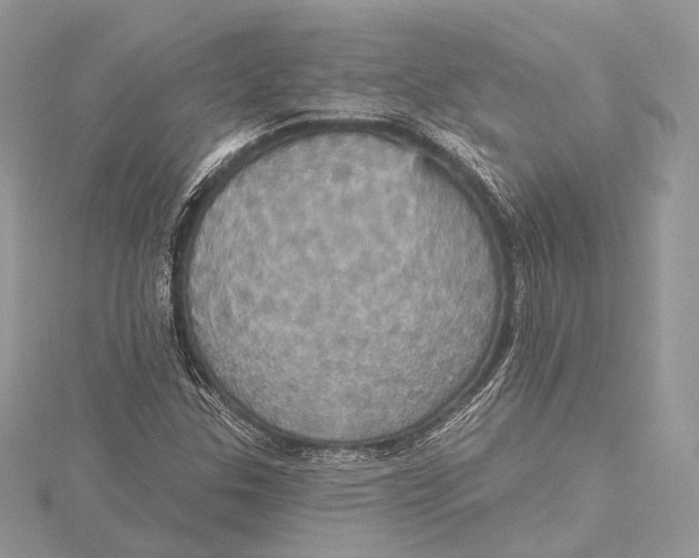 X0000115451307200912020957