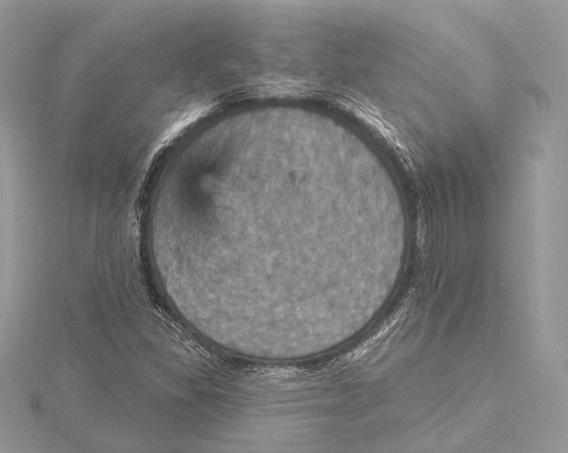 X0000115451309200912020957