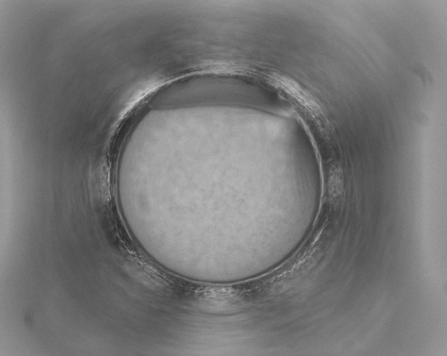 X0000115451310200912020957