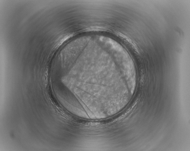 X0000115451313200912020957