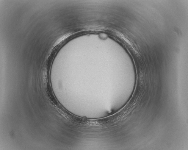 X0000115451315200912020957