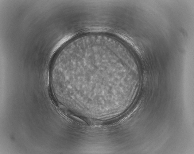 X0000115451317200912020957