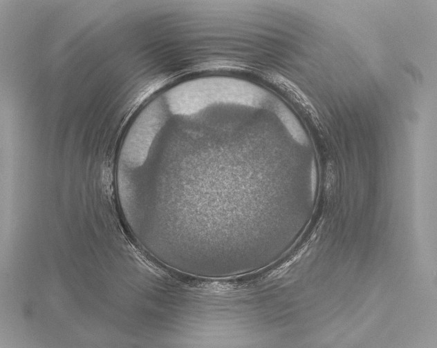 X0000115451321200912020957