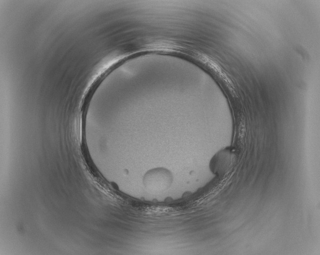 X0000115451323200912020957