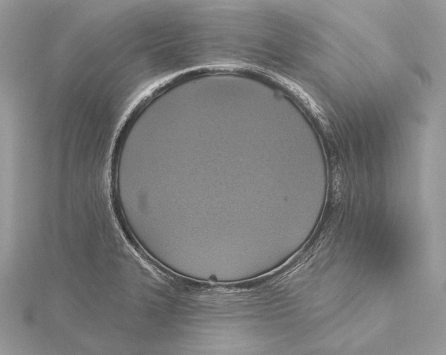 X0000115451327200912020958