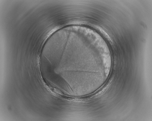 X0000115451329200912020958