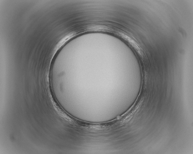 X0000115451330200912020958